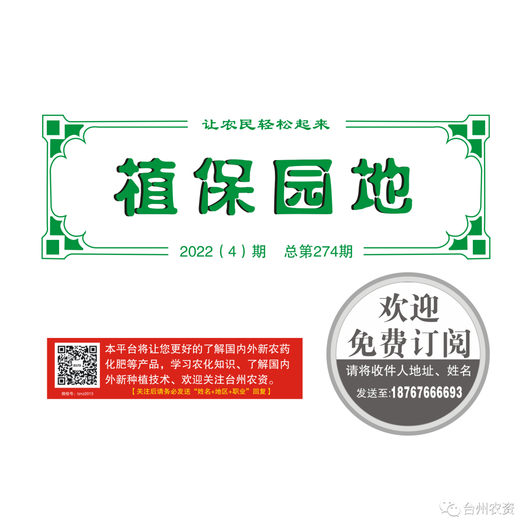 氣溫驟降，大棚西瓜做好以下幾點工作