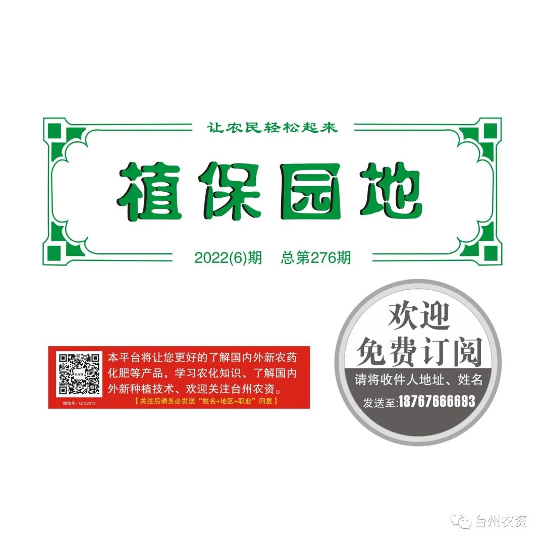 梅雨季節(jié)來臨，柑橘即將穩(wěn)果，注意管理好夏梢，合理施肥打藥